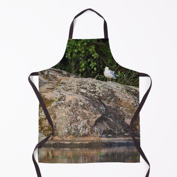 Item preview, Evening light. Common gull designed and sold by Jouko Lehto Photography.