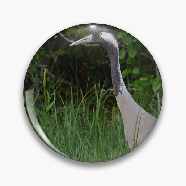 Item preview, Bold one. Eurasian crane designed and sold by Jouko Lehto Photography.
