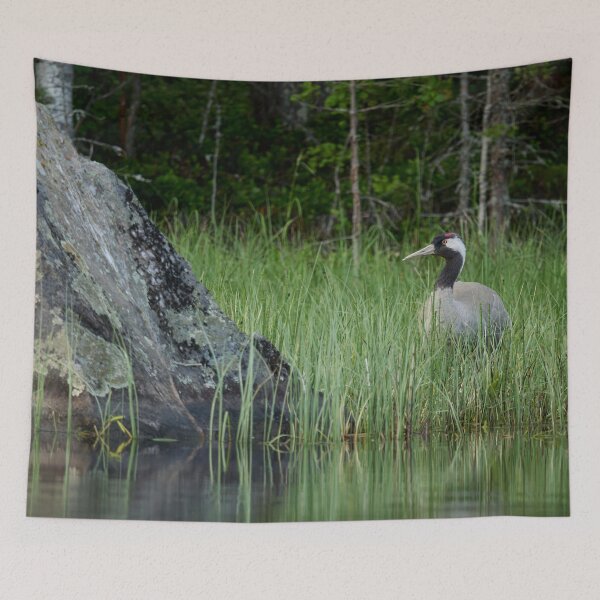 Item preview, Shy one. Eurasian crane designed and sold by Jouko Lehto Photography.