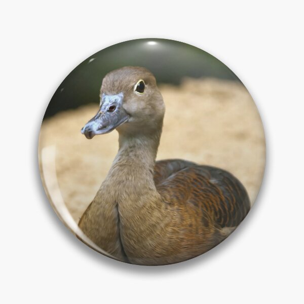 Item preview, Cute Little Whistling Duck Nursery Bird Art designed and sold by Vac1.