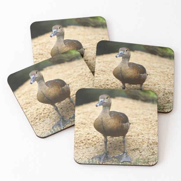 Item preview, Cute Little Whistling Duck Nursery Bird Art designed and sold by Vac1.