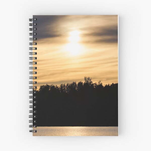 Artikelvorschau, Einsame Möwe am Abend. entworfen und verkauft von Jouko Lehto Photography.
