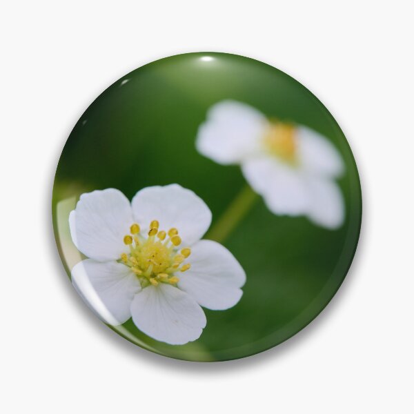 Item preview, Wild Strawberry flower. Woodland strawberry designed and sold by Jouko Lehto Photography.