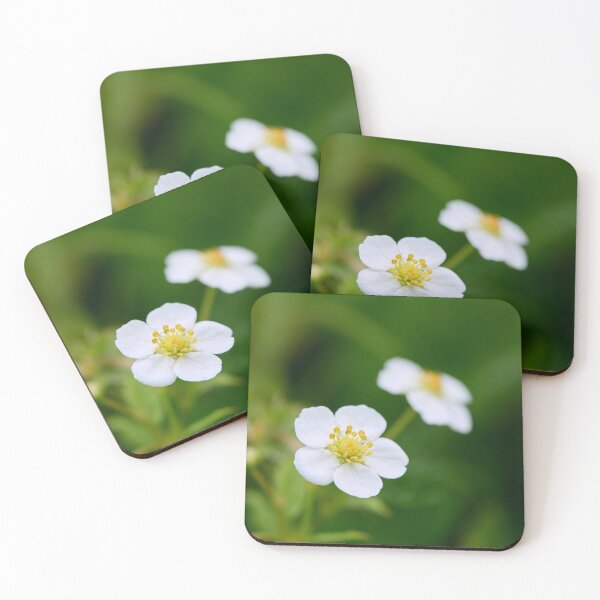 Item preview, Wild Strawberry flower. Woodland strawberry designed and sold by Jouko Lehto Photography.