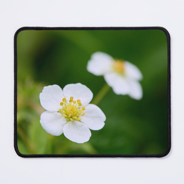 Item preview, Wild Strawberry flower. Woodland strawberry designed and sold by Jouko Lehto Photography.