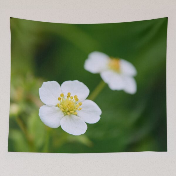 Item preview, Wild Strawberry flower. Woodland strawberry designed and sold by Jouko Lehto Photography.