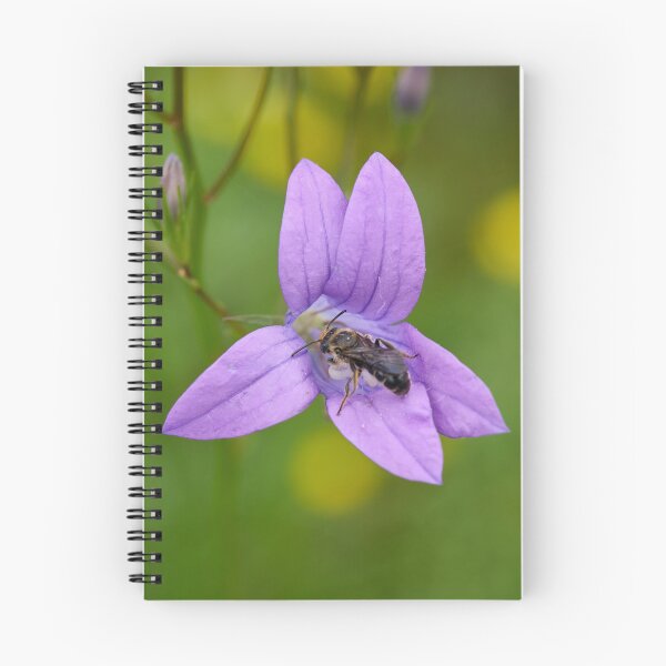 Item preview, Orange-legged furrow bee on Spreading Bellflower designed and sold by Jouko Lehto Photography.