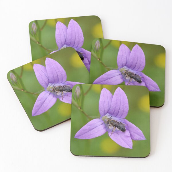 Item preview, Orange-legged furrow bee on Spreading Bellflower designed and sold by Jouko Lehto Photography.