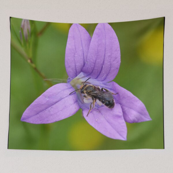 Item preview, Orange-legged furrow bee on Spreading Bellflower designed and sold by Jouko Lehto Photography.