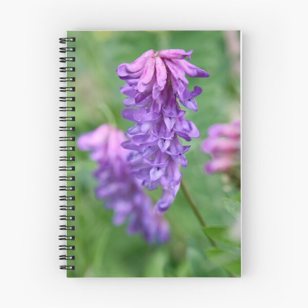 Item preview, Pinks and purples. Tufted Vetch designed and sold by Jouko Lehto Photography.