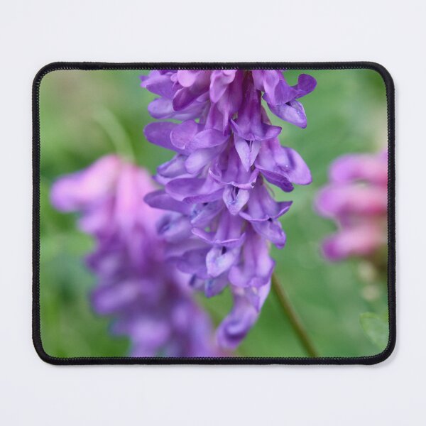 Item preview, Pinks and purples. Tufted Vetch designed and sold by Jouko Lehto Photography.