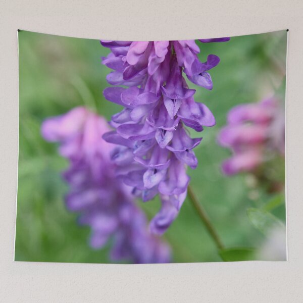 Item preview, Pinks and purples. Tufted Vetch designed and sold by Jouko Lehto Photography.