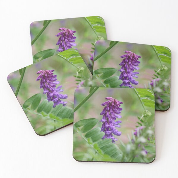 Item preview, Framed. Tufted Vetch designed and sold by Jouko Lehto Photography.