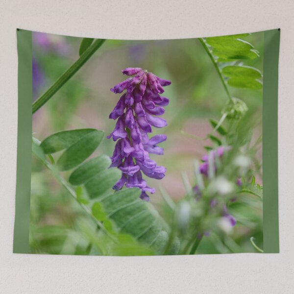 Item preview, Framed. Tufted Vetch designed and sold by Jouko Lehto Photography.