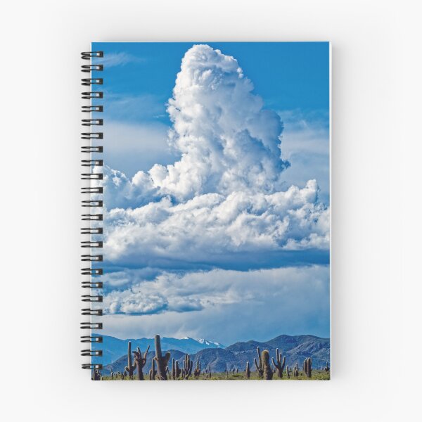 Item preview, Los Cardones National Park, Salta – Giant Cacti, Cloud, Storm, Blue Sky, Photo, Argentina, Andes designed and sold by Keltoi-art.