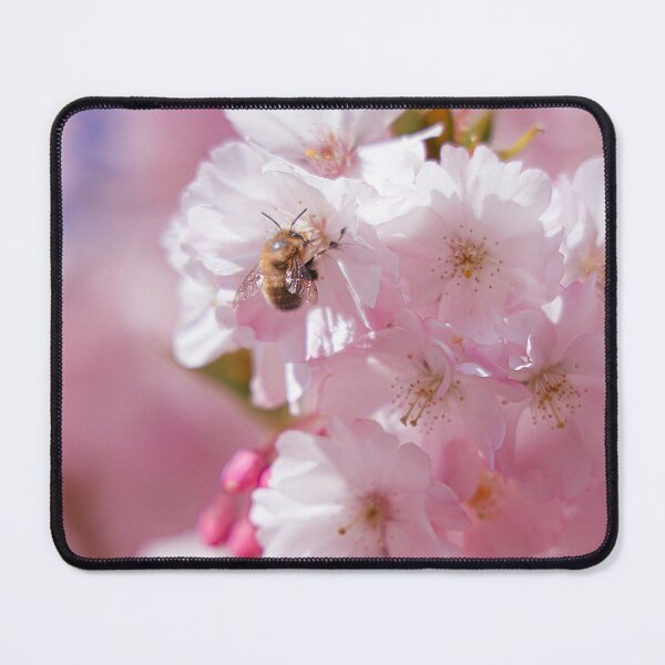 Item preview, Cherry Blossom and Bee Photography | Soft Pink Spring Floral Wall Art designed and sold by Mypixieart.