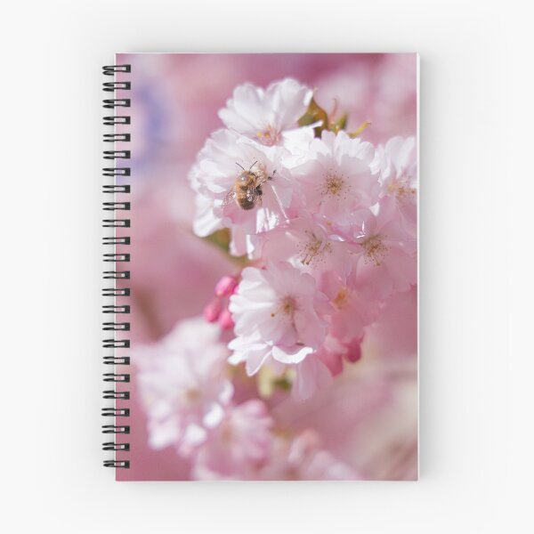 Item preview, Cherry Blossom and Bee Photography | Soft Pink Spring Floral Wall Art designed and sold by Mypixieart.