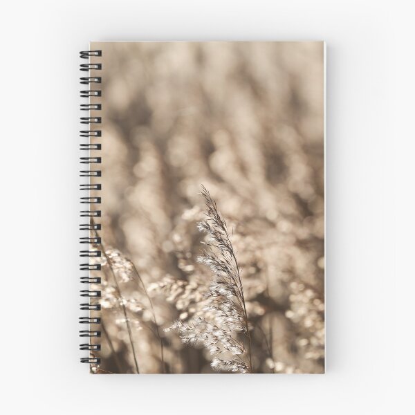 Item preview, Golden Reed Grass Photography | Minimalist Neutral Beige Wall Art designed and sold by Mypixieart.