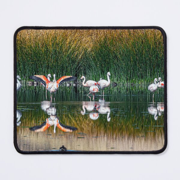 Item preview, Flamencos Rosados Laguna Huancar – Andes Abra Pampa Jujuy Animal Foto Reflejo Aves Argentina designed and sold by Keltoi-art.