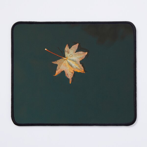 Item preview, Floating Autumn Maple Leaf Photography | Minimalist Fall Nature Wall Art designed and sold by Mypixieart.