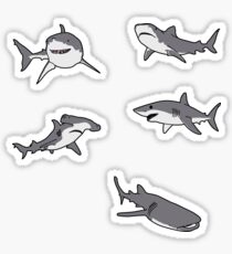 shark pack Sticker