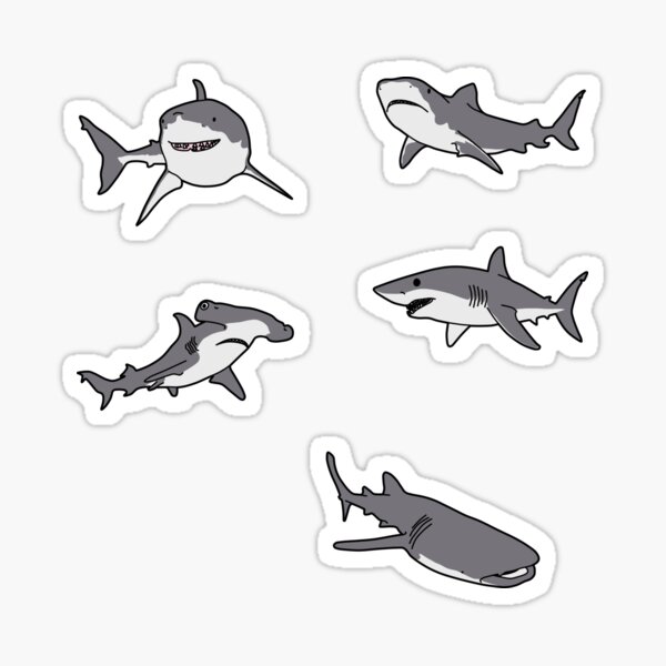 paquete de tiburones Pegatina