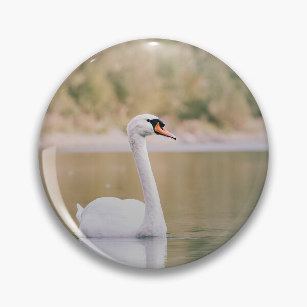 Item preview, Majestic White Swan on Lake Photography | Elegant Nature Wall Art designed and sold by Mypixieart.
