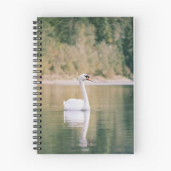 Item preview, Majestic White Swan on Lake Photography | Elegant Nature Wall Art designed and sold by Mypixieart.