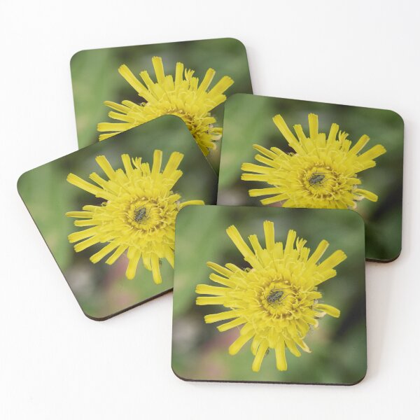 Item preview, Mouse Ear Hawkweed with a green bug designed and sold by Jouko Lehto Photography.