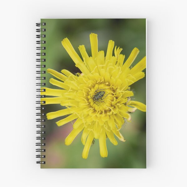 Item preview, Mouse Ear Hawkweed with a green bug designed and sold by Jouko Lehto Photography.