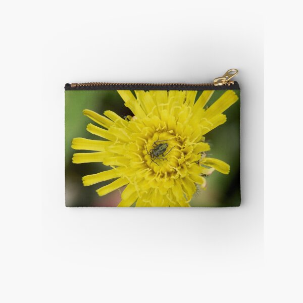 Item preview, Mouse Ear Hawkweed with a green bug designed and sold by Jouko Lehto Photography.