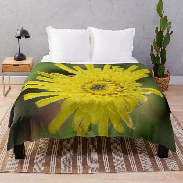 Item preview, Mouse Ear Hawkweed with a green bug designed and sold by Jouko Lehto Photography.