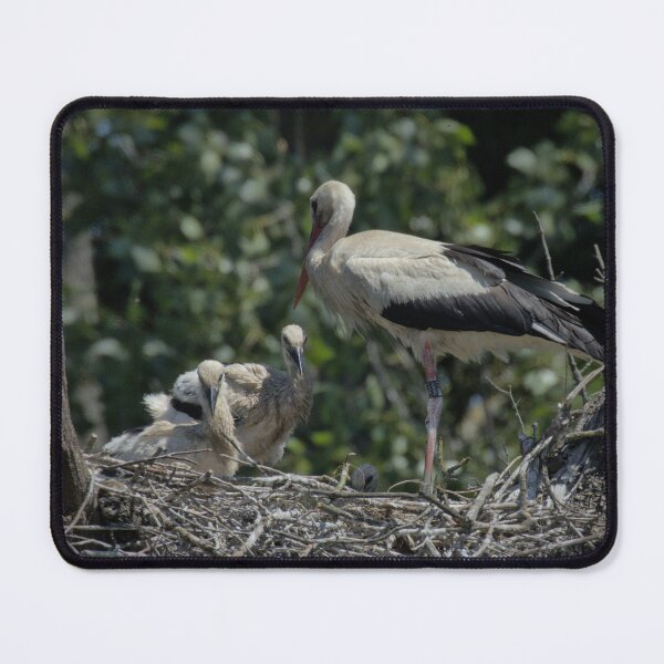 Item preview, Frozen reality - Beautiful nature 888 designed and sold by deep-sea-birds.