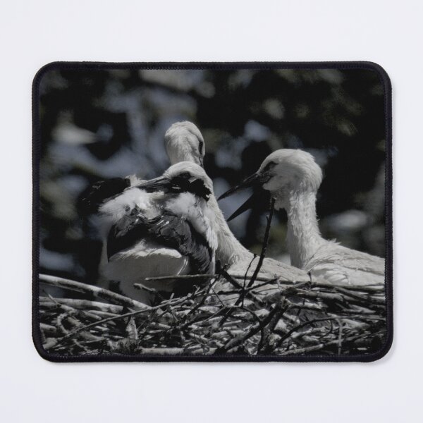 Item preview, Frozen reality - Beautiful nature 889 designed and sold by deep-sea-birds.