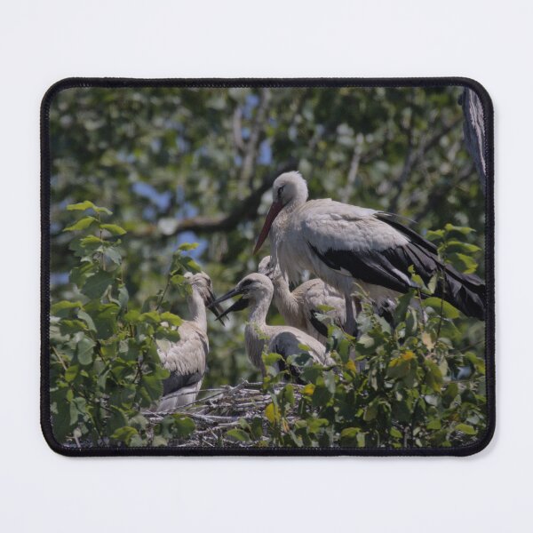 Item preview, Frozen reality - Beautiful nature 890 designed and sold by deep-sea-birds.