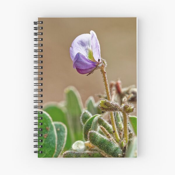 Item preview, Purple Flower of the Salta Desert designed and sold by Keltoi-art.