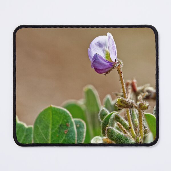 Item preview, Purple Flower of the Salta Desert designed and sold by Keltoi-art.