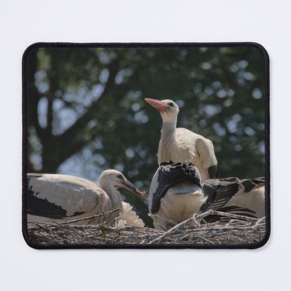 Item preview, Frozen reality - Beautiful nature 891 designed and sold by deep-sea-birds.