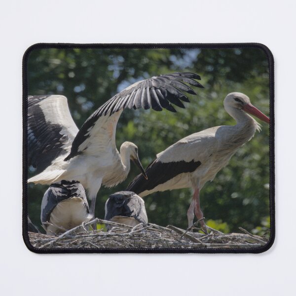 Item preview, Frozen reality - Beautiful nature 894 designed and sold by deep-sea-birds.
