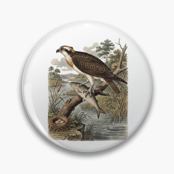 Item preview, Osprey Fishing Vintage Wildlife Illustration – Audubon Style Bird of Prey Art designed and sold by Roy & Tiffany.