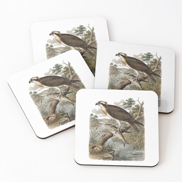 Item preview, Osprey Fishing Vintage Wildlife Illustration – Audubon Style Bird of Prey Art designed and sold by Roy & Tiffany.