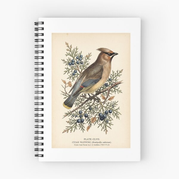 Item preview, Cedar Waxwing Vintage Bird  designed and sold by Roy & Tiffany.