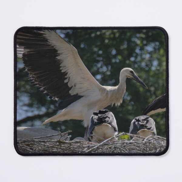Item preview, Frozen reality - Beautiful nature 896 designed and sold by deep-sea-birds.