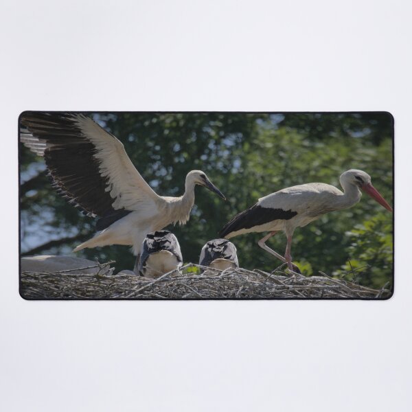 Item preview, Frozen reality - Beautiful nature 896 designed and sold by deep-sea-birds.