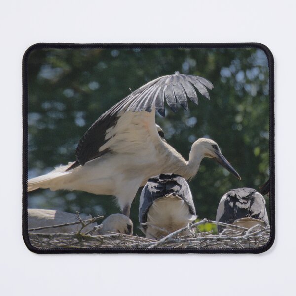 Item preview, Frozen reality - Beautiful nature 897 designed and sold by deep-sea-birds.