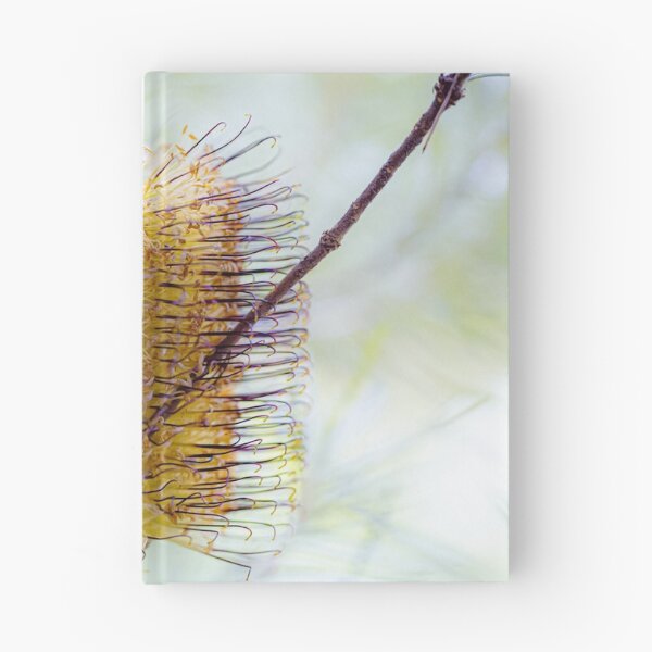 Item preview, Banksia Spinulosa Golden Wildflower Canvas Print | Native Australian Botanical Wall Art designed and sold by MinzMarchStudio.