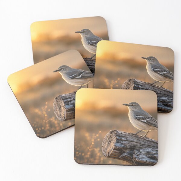 Item preview, Golden Hour Mockingbird on Weathered Wood designed and sold by Kimberly Palmer.