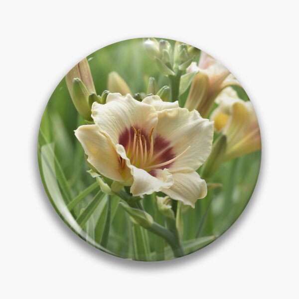 Item preview, Cream Pink Daylily in Garden Vertical Portrait Art designed and sold by TathataPhotos.