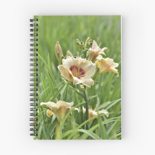Item preview, Cream Pink Daylily in Garden Vertical Portrait Art designed and sold by TathataPhotos.