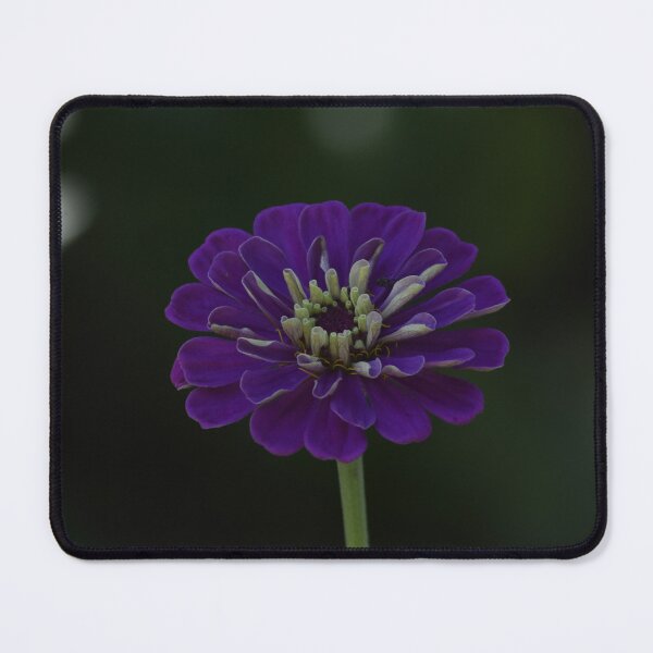 Item preview, Dark Purple Zinnia Vertical Portrait Wall Art designed and sold by TathataPhotos.